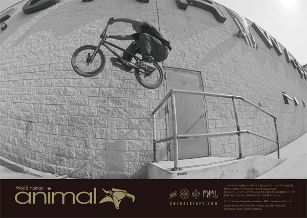 WORLD HUMAN REPORT / animal bikes