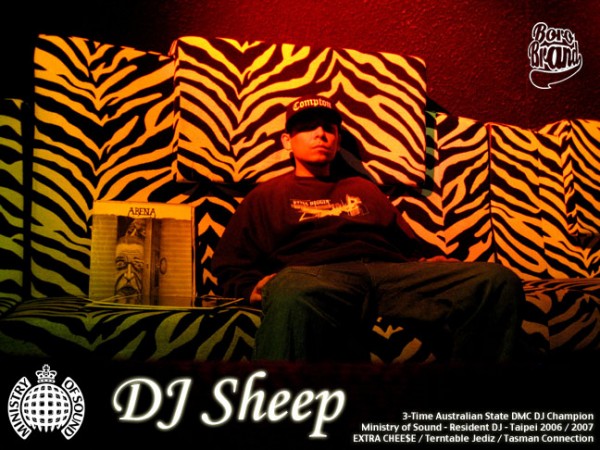 djsheep-boro
