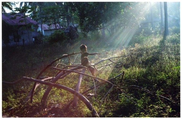 1422405_502712369824634_1229757707_n